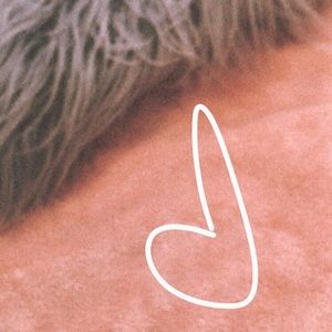 Meet your Posher, Cheyenne